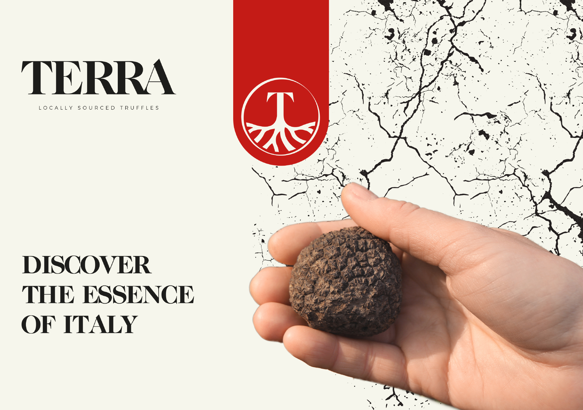 Branding agency Terra