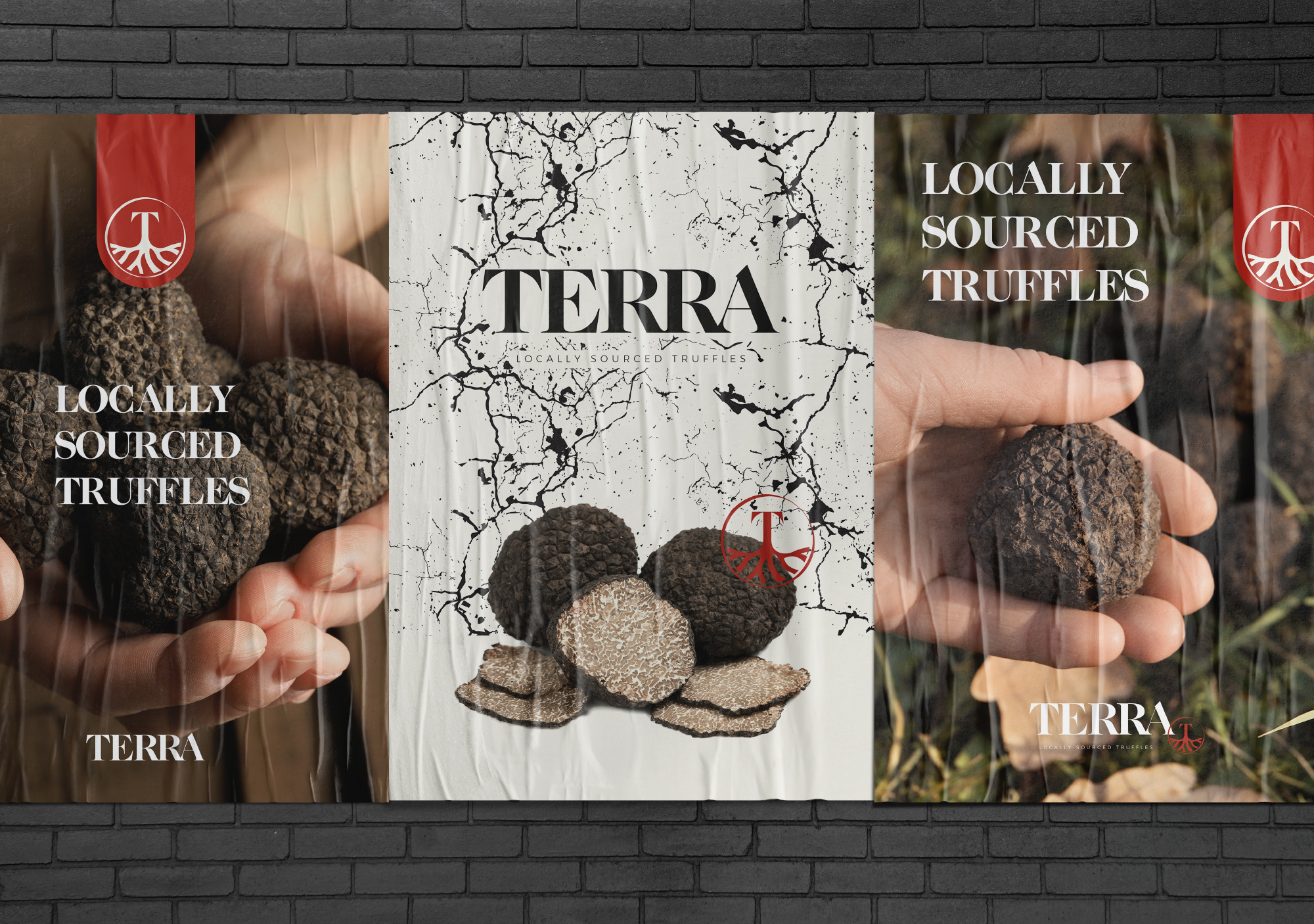 Grafisch bureau limurg Terra