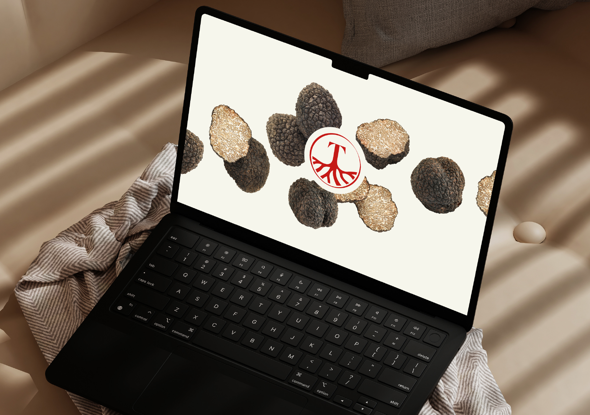 Website design Limburg